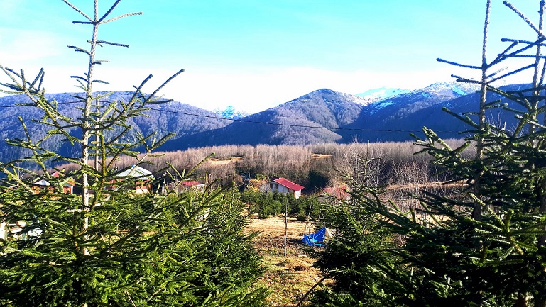 HANDÜZÜ