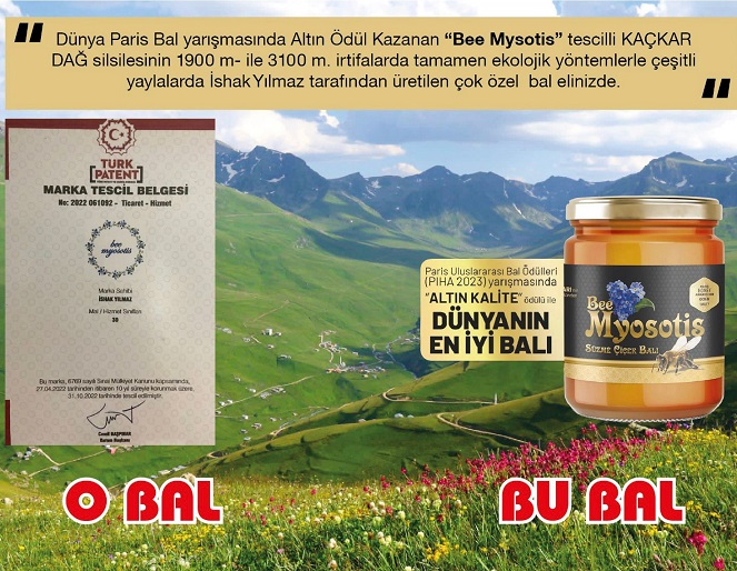 Anzer Balına Ödül