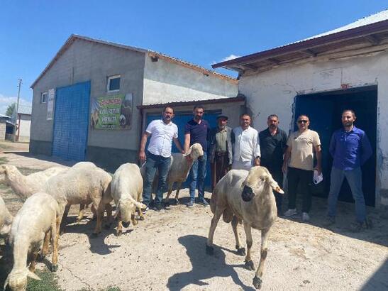  Başkan Çoban: Küçükbaş üreticileri desteklenmeli