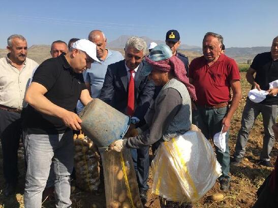 Vali Koç, patates hasadı yapan işçileri ziyaret etti