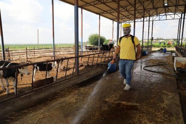 Yüreğir’de vektörle mücadele çalışması