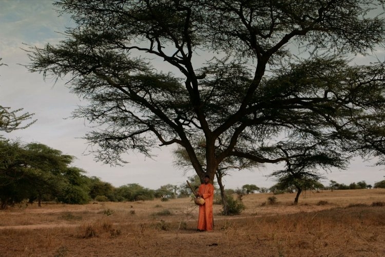 Altın Koza'dan umut veren ekolojik belgesel