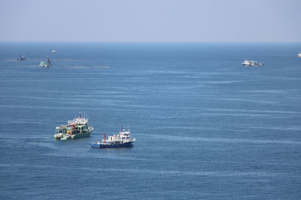 Zonguldak açıklarında palamut bolluğu