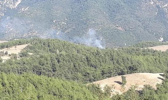 Adana'da 2 ilçede orman yangını 