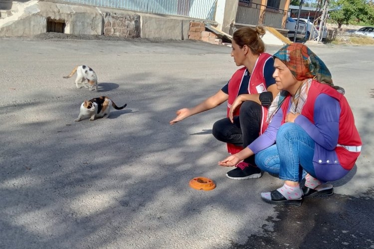 Türk Kızılay'dan Malatya'da 'engelsiz' etkinlik