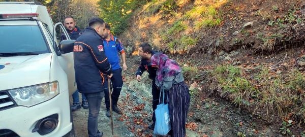 Mantar toplarken kaybolan 75 yaşındaki kadın bulundu