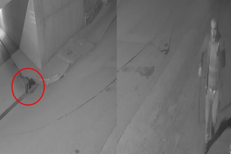 Bursa Gemlik'te mazgal hırsızları kameraya yakalandı