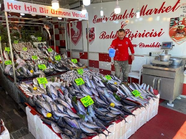 Samsun’da balık tezgahları palamutla doldu