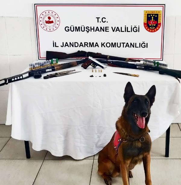 Kaçak silah atölyesi baskınında Roma dönemine ait sikkeler de ele geçirildi