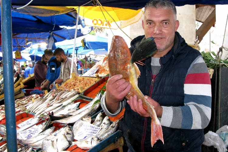 Bursa Yenişehir'de kırlangıç balığı ilgisi