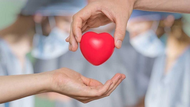 Organ Bağışı ve Nakli Haftası ne zaman?