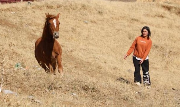 Yüksekova’da gözleri görmeyen tayı sahiplenip, İstanbul’a götürdü