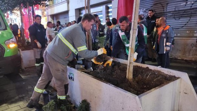 İstiklal Caddesi'ndeki ağaçlar ne oldu? İstiklal Caddesi'ndeki ağaçlar ne olacak, nereye dikilecek?