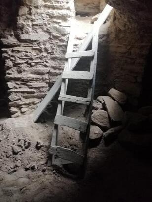 Aydın'da antik kentte kaçak kazıya suçüstü; 4 gözaltı