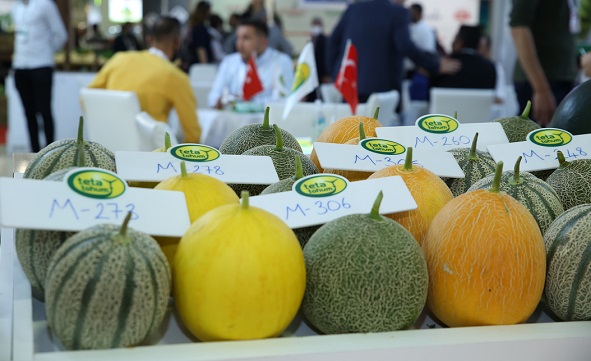  GROWTECH İÇİN GERİ SAYIM BAŞLADI