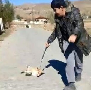 Valilikten tilkiye işkence edenlere adli işlem