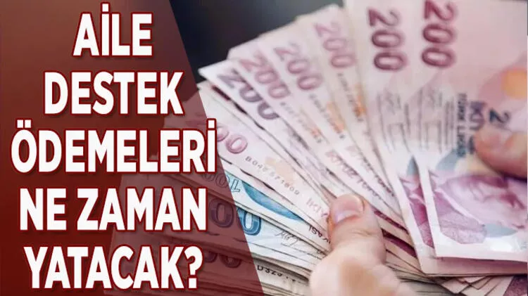 Aile Destek Ödemeleri ne zaman yatacak, başvurusu nasıl yapılır? 2022 Aralık Aile Destek Ödemesi ne zaman verilecek?