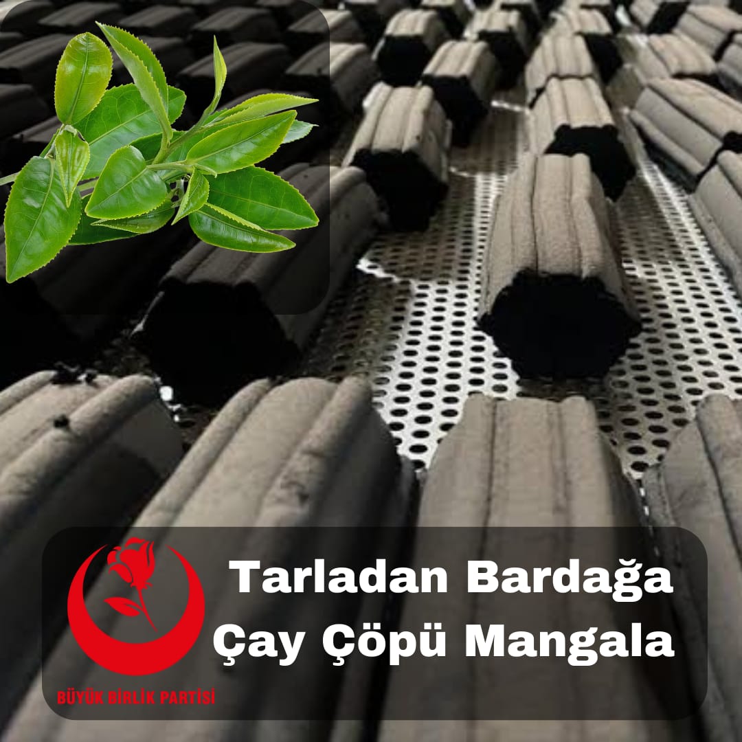 BBP' li Özçelik, 