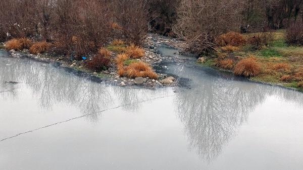 Gerede Çayı'nda kirlilik rahatsızlık yaratıyor  