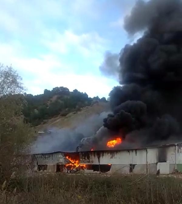 Amasya’da kontrplak fabrikasında yangın 