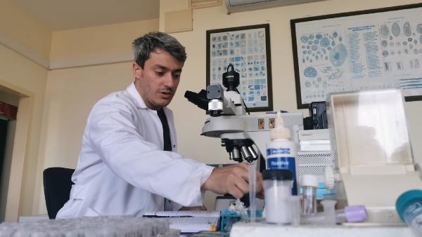 Üniversite bahçesindeki ‘kör yılan’larda kene istilası keşfi 