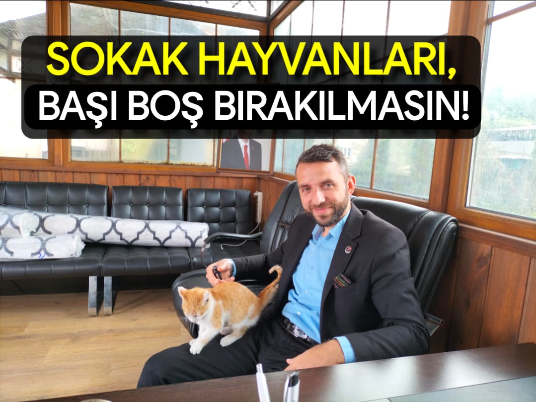 Başkan Usta: “Hayvan Severler Cezalandırılmamalıdır”