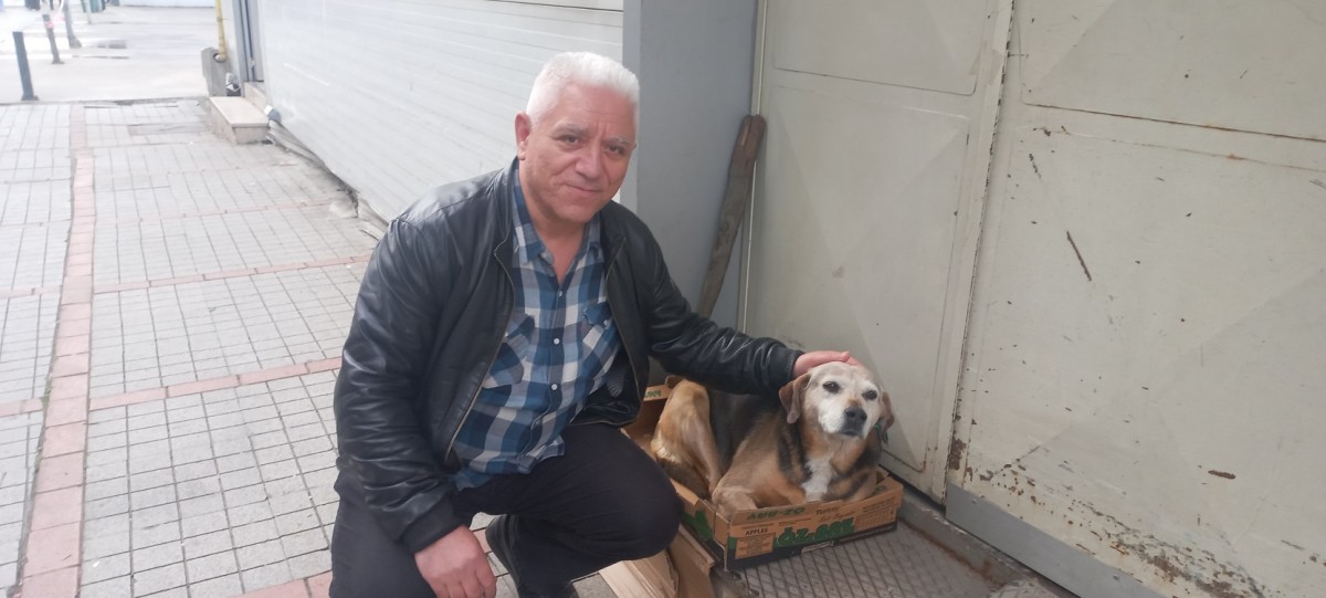 Saldırılan Köpek K9’a Hayvan severler Sahip Çıktı