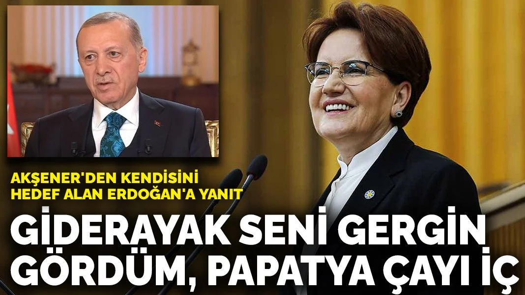 Akşener'den kendisini hedef alan Erdoğan'a yanıt: Giderayak seni gergin gördüm, papatya çayı iç