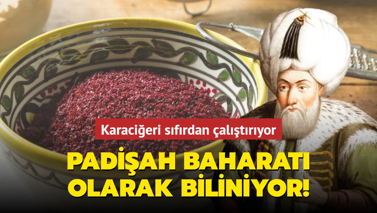 Karaciğer Dostu Olan Baharatı En Çok Padişahlar Kullanıyordu