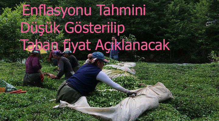 Enflasyonu Tahmini Düşük Gösterilip Taban fiyat Açıklanacak