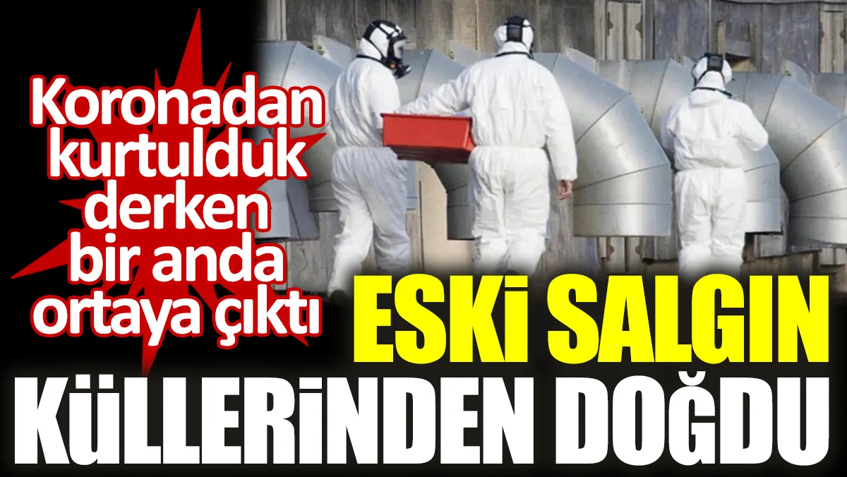 Eski salgın küllerinden doğdu. Koronadan kurtulduk derken bir anda ortaya çıktı