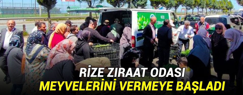 Ziraat OdasıMeyvelerini Vermeye Başladı