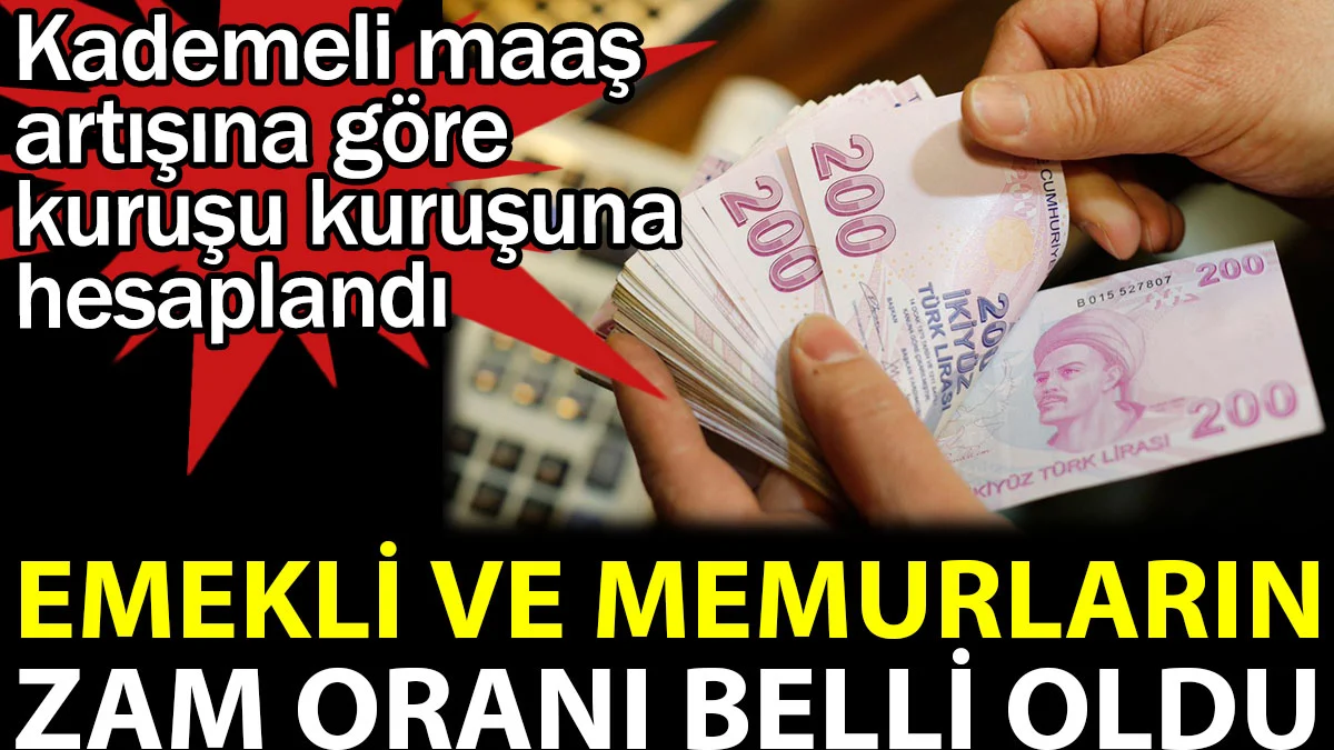 Emekli ve memurların zam oranı belli oldu. Kademeli maaş artışına göre kuruşu kuruşuna hesaplandı