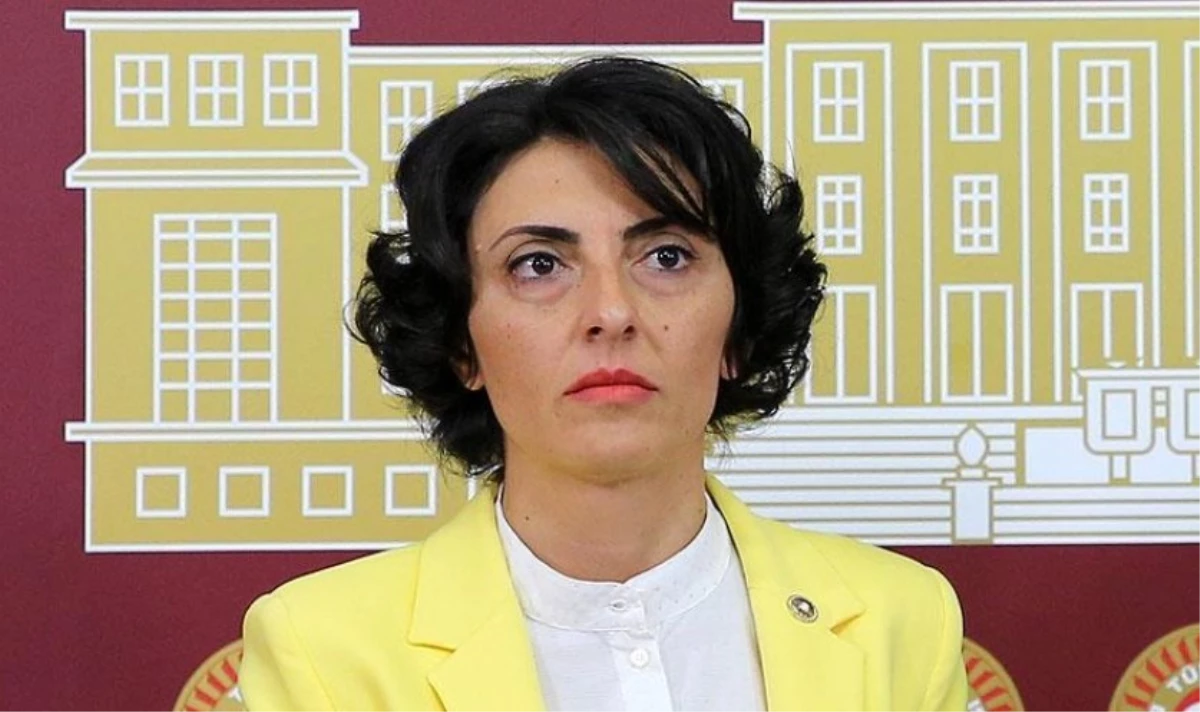 Nurhayat Altaca Kayışoğlu kimdir? Kaç yaşında, nereli?