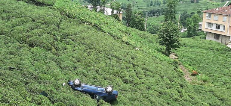 Rize’de araç çay tarlasına Yuvarlandı, yaralılar var