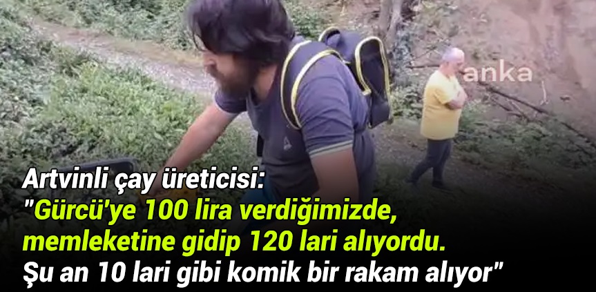 Artvinli çay üreticisi: 'Gürcü'ye 100 lira verdiğimizde, memleketine gidip 120 lari alıyordu. Şu an 10 lari gibi komik bir rakam alıyor'