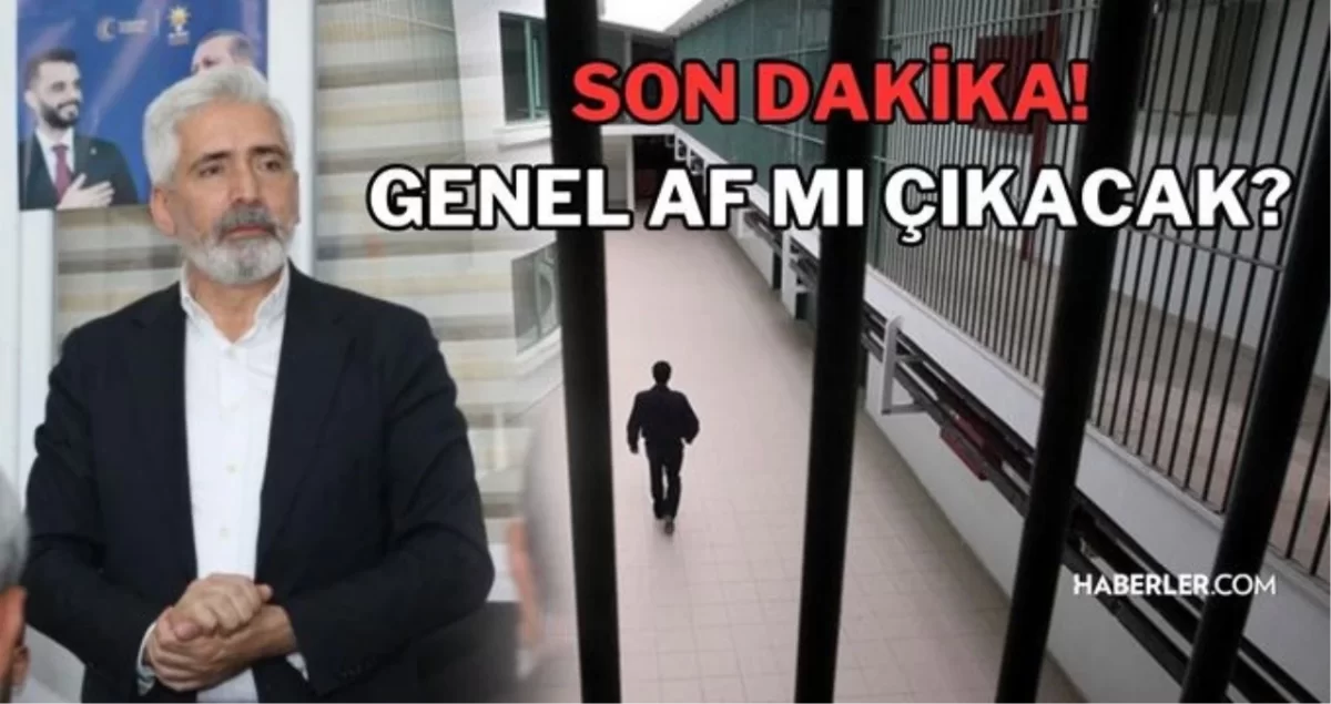 Genel af ne zaman çıkacak? Genel af kimleri kapsar? Genel af mı çıkıyor son dakika! 