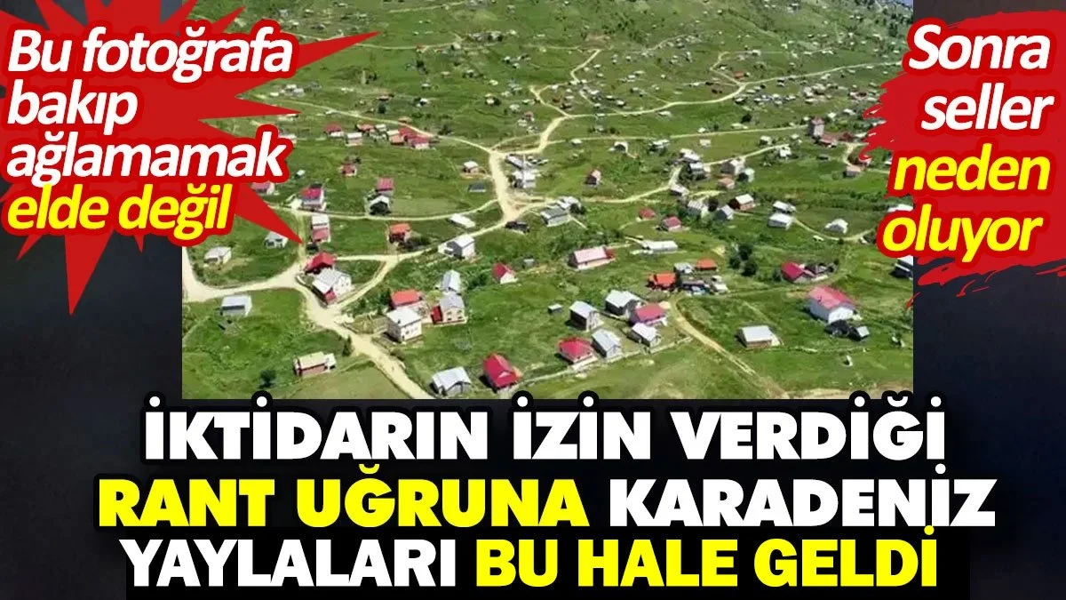 Yaylaların haline bakın. İktidarın yol verdikçe Karadeniz yaylaları bu hale geldi