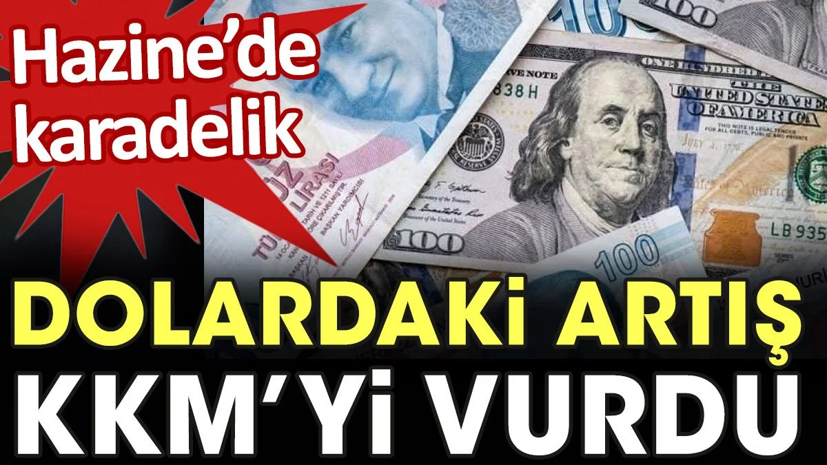 Dolardaki artış KKM'yi vurdu. Hazine'de dev karadelik