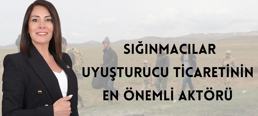 ESMAÜL HÜSNA ASLAN: SIĞINMACILAR TÜRKİYE’DE UYUŞTURUCU TİCARETİNDE BÜYÜK BİR ROL OYNUYOR