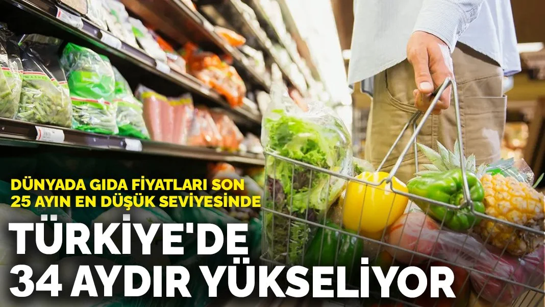 Dünyada gıda fiyatları son 25 ayın en düşük seviyesinde: Türkiye'de 34 aydır yükseliyor