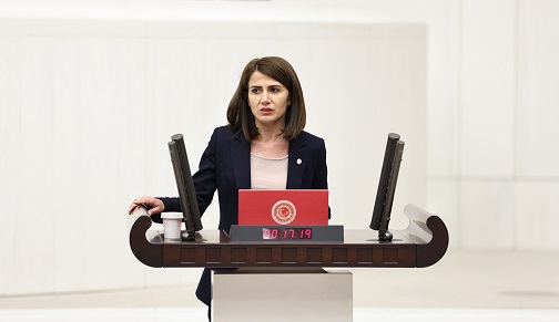 DEM Parti Milletvekili Süreyya Boz'dan Ağız ve Diş Sağlığı Teknikerleri İçin Önerge