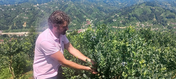 Peyzaj Mimarlığını Bırakıp Köyüne Döndü Likapa Yetiştiriciliğine Başladı