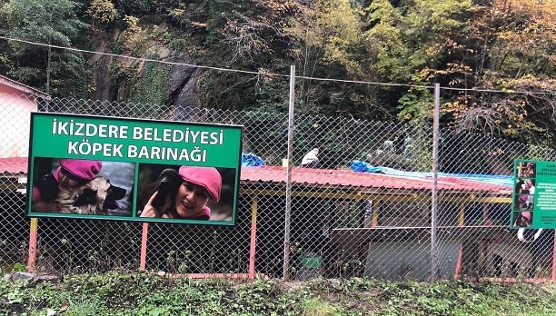 Kısırlaştırdığımız Hayvanlara Küpe Takarak Daha Yakından Takip Edeceğiz’’