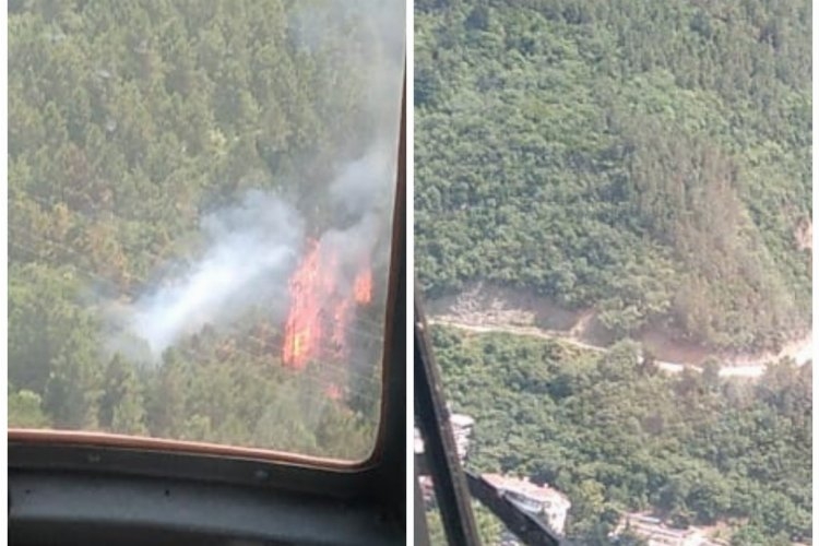 Yalova Çınarcık'taki orman yangını korkuttu