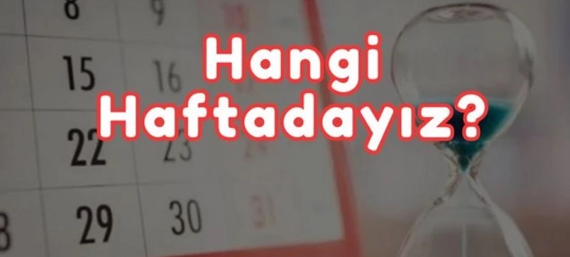 Hangi haftadayız, hangi aydayız? Şu anda hangi haftadayız? Kaçıncı haftadayız? 