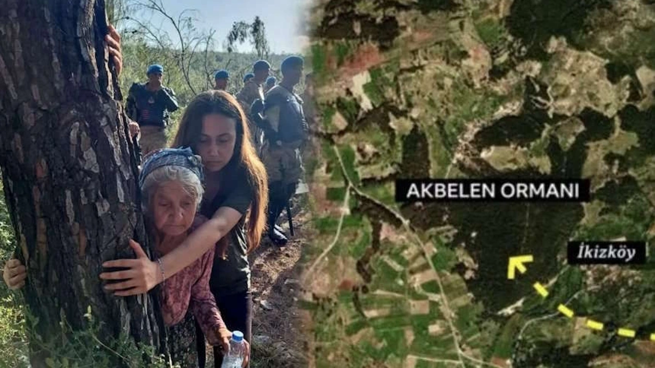 Akbelen ormanı nerede? Akbelen'de neler oluyor, neden ağaç kesiliyor?