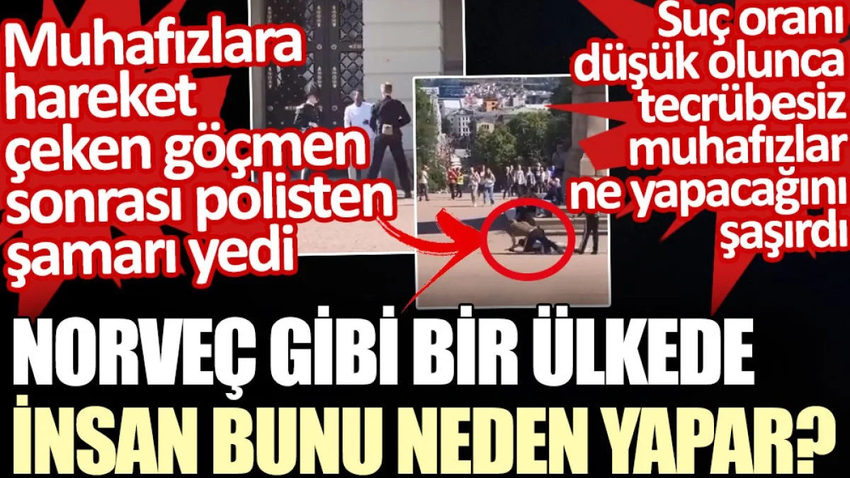 Norveç’te kraliyet muhafızlarına sataşan göçmen polisten şamarı yedi