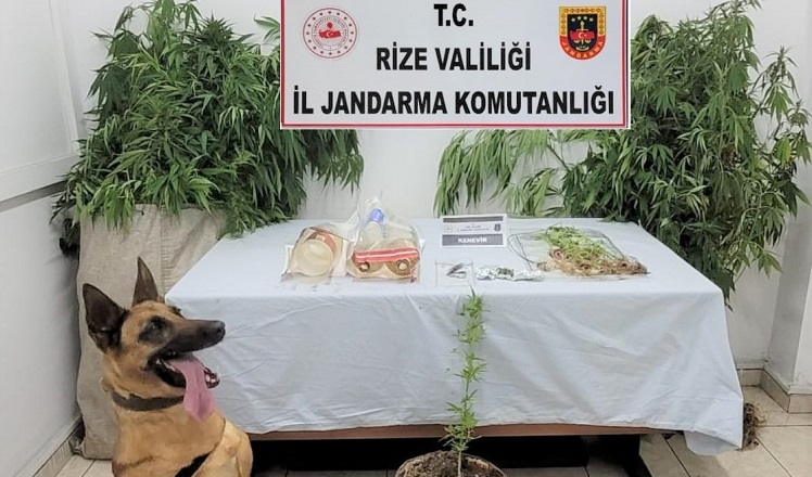 Rize İl Jandarmadan Başarılı Operasyonlar