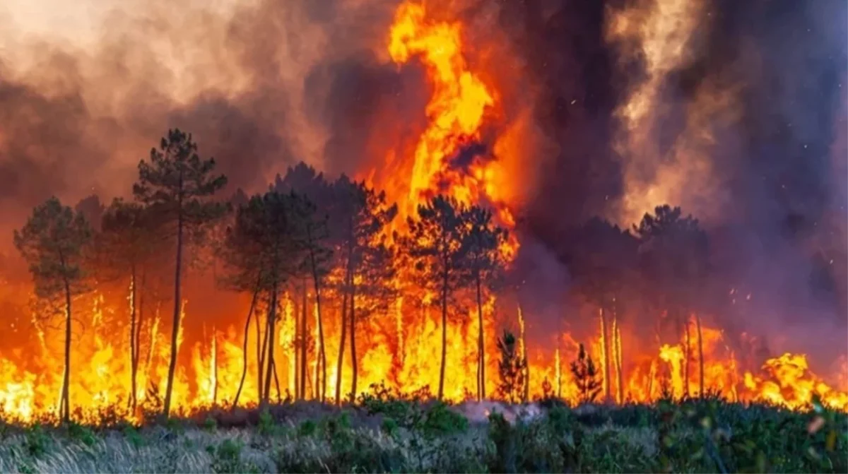 Balıkesir'de yangın mı var? Balıkesir'de orman yangını son durum ne?